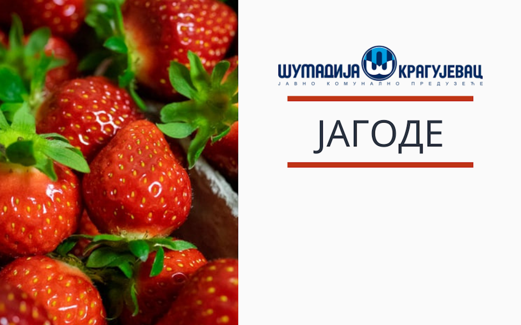 05.07.21 - analiza hrane - 1.png