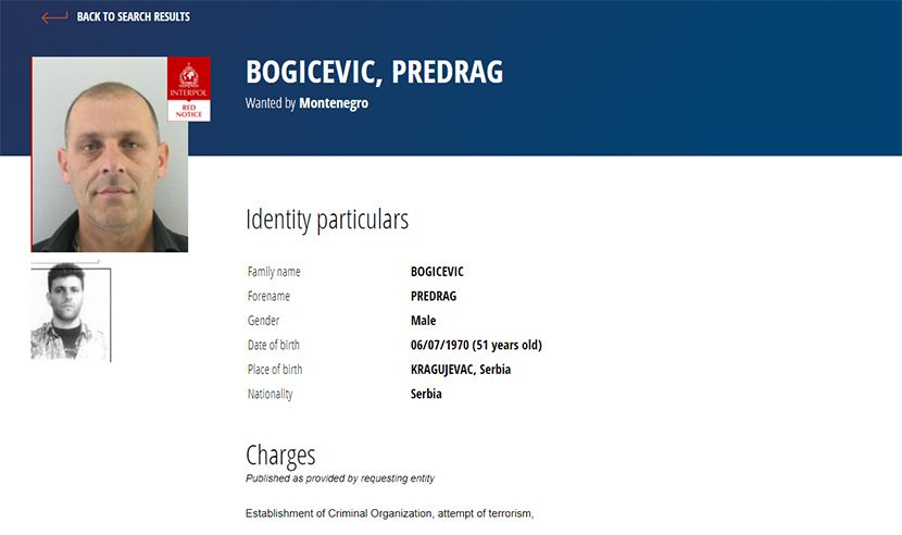 bogicevic-830x0.jpg