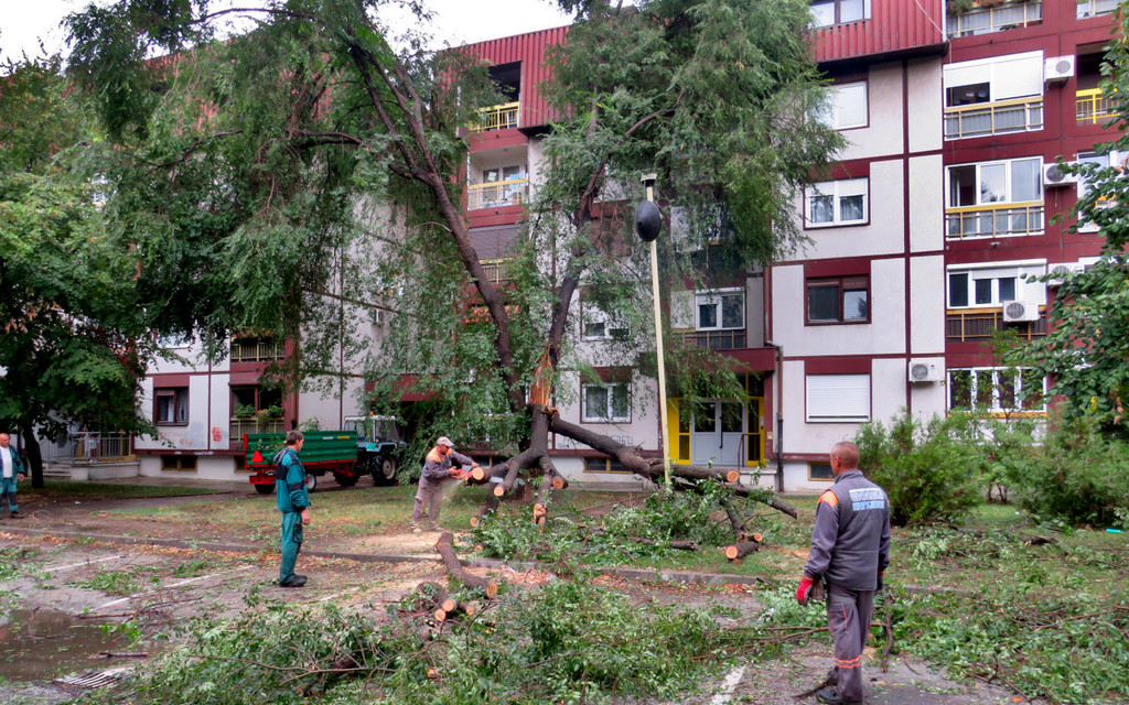 28.09.21 - oluja - stabla - 4.JPG