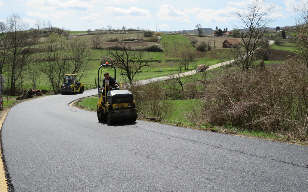 08.04.22 - velike pcelice - 2.JPG