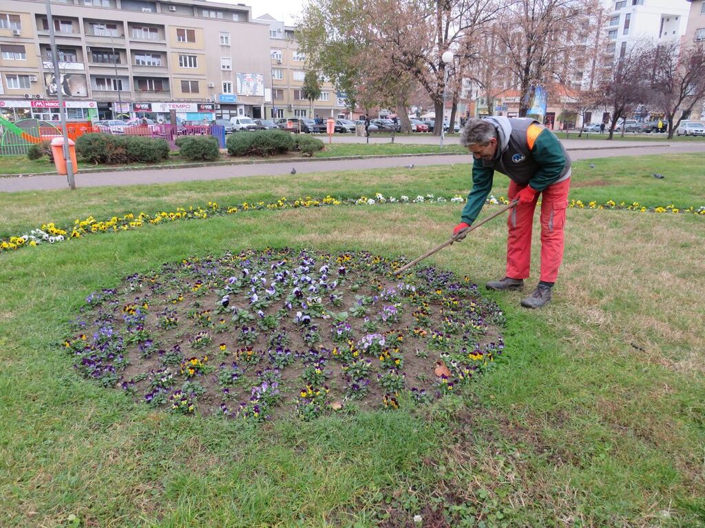 06.12.22 - jesenji radovi - 9.JPG