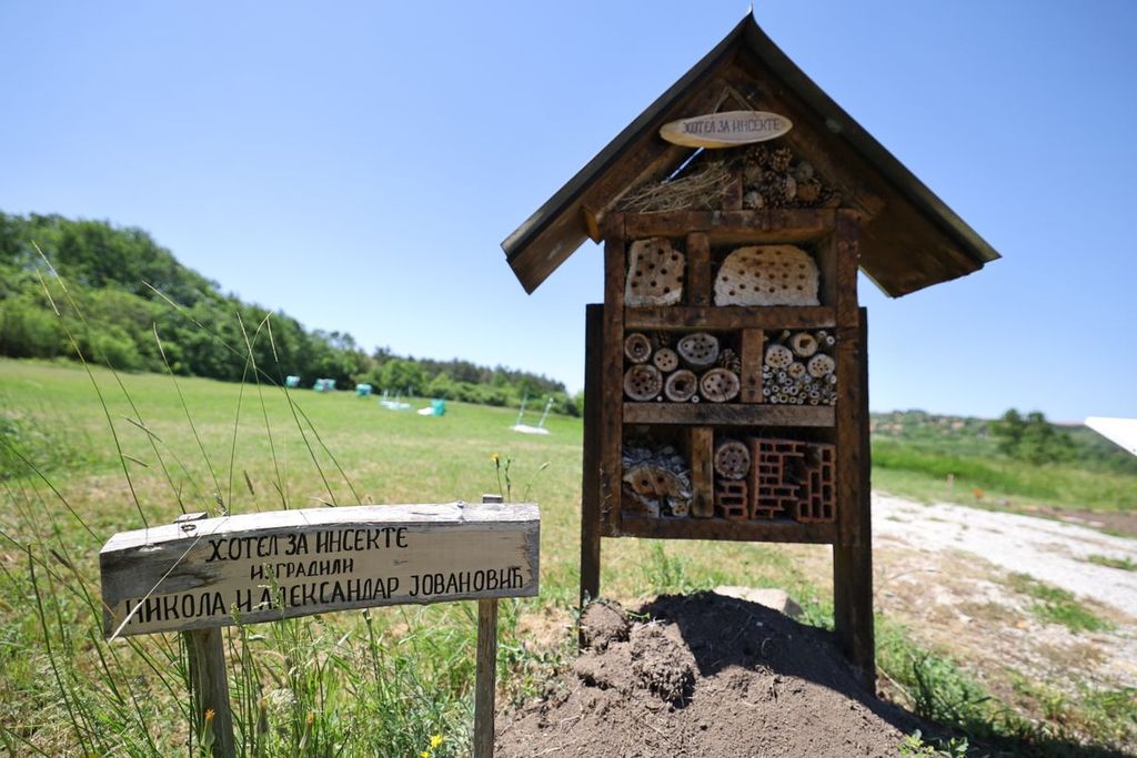 hotel-za-insekte-1200x0.jpg