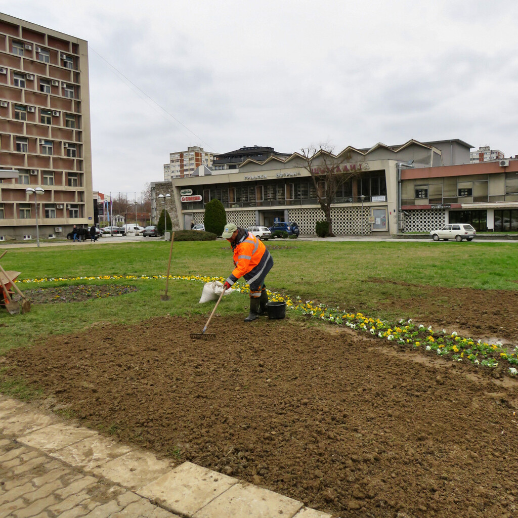 25.01.23 - zelenilo - 1.JPG